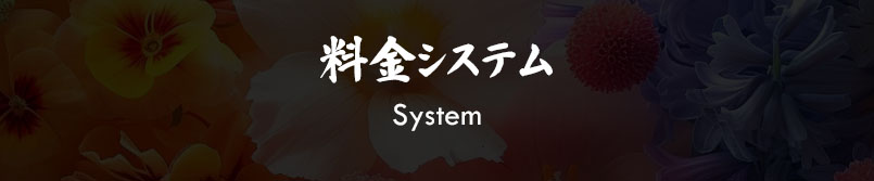 料金案内